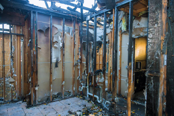 Professional Fire Damage Removal technician working in Deltana, AK