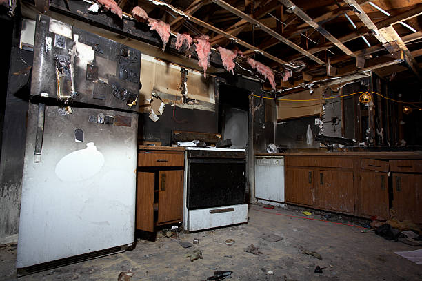Licensed Fire Damage Removal service in Deltana, AK - Meridian Smoke Damage